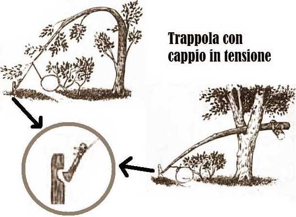 trappola