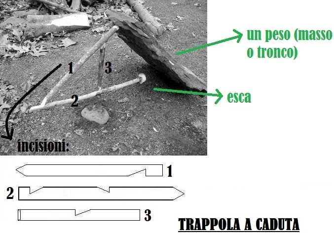 trappola2